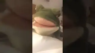 Herbert the frog puppet introduces himself