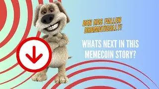 What's next in this meme coin story?? BEN HAS FALLEN!!