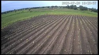 ACTIVE PIXEL 4G 4MP SOLAR CAMERA | Available on IndiaMART
