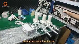 Hospital bed motor function test
