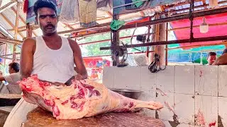 Fastest Cow meat cutting Skills part-35 ।। Cutting Bro