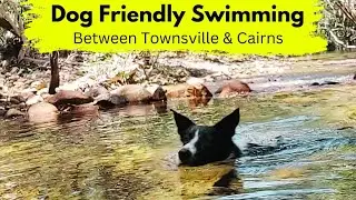 Dog Friendly Swimming Holes | Townsville to Cairns!