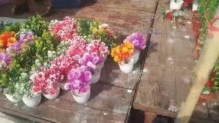Jhansi ki phool dekhiae phool bagicha ke bag mein phool kaise banaya jata hai kaisa paudha lagaya