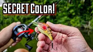 *Gone SOON* I'm Honored This Crankbait Happened!