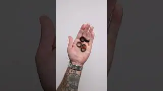 The Perfect Adventure Ring