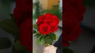 Wholesale Flower Shop | Florist Supplies | Fresh Flowers in UAE