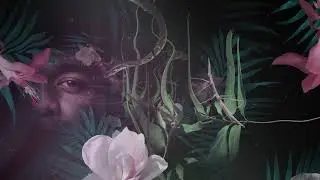 Montoya - Perla