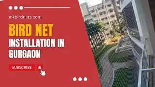 Monkey Safety Nets installation in Gurgaon Delhi NCR | Cat Proofing Net Services near me