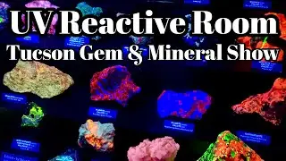 UV Reactive Mineral Room at the Tucson Gem and Mineral Show