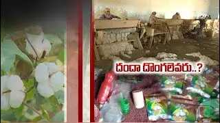 Task Force Raid on Fake Seeds | but Agriculture Department Fail to Control the Fake Seeds