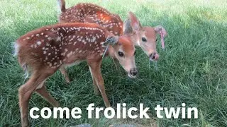 hugging my best friend for 28 seconds