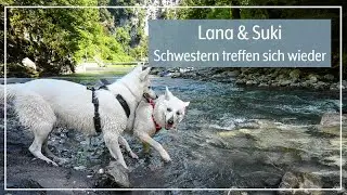 Vlog 2 | Wir treffen Lanas SCHWESTER SUKI 🤍