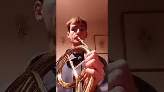 Dynamics are hard on this... (Beethoven Symphony 2, 3rd movement horn solo on natural horn)