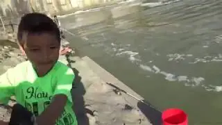 Perch fishing at Huntington dam, Indiana (clean and cook)