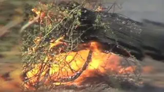 Ashtead Common Fire & Recovery