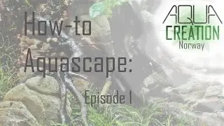 How-to Aquascape: Episode 1 - Nano nature aquarium