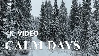 Winter Nature Therapy | 4K Relaxing Guitar for Stress Relief & Anxiety