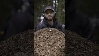 Hidden Sounds of Nature