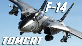 DCS: F-14 Tomcat Vs Mig-29 Dogfight