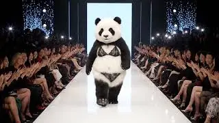 Panda Runway Video Ready