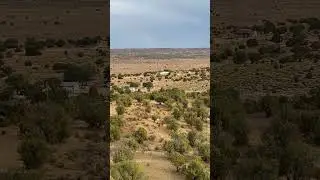 JEDIVILLE Peyote Song