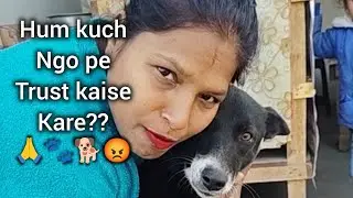Kuch ngo in bejubano ke hak me koi kam nahi kari🙏🐕🐾😡 #tengomylife #doglife #emotional 