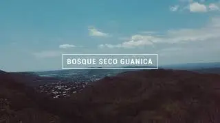 BOSQUE SECO GUANICA