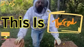 Осеннее пчеловодство | Был ли 2025 год успешным?