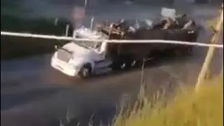 Hinchas del AMERICA le hicieron Ayer cacer1a a Hinchas del Tolima Por Carretera.😱🇨🇴⚽️🛣️🔥🚛😥😱