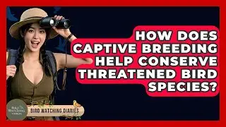 How Does Captive Breeding Help Conserve Threatened Bird Species? - Bird Watching Diaries