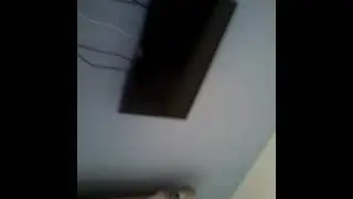 MEU GATO VIRO TARS&Atilde;O