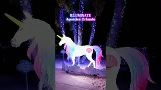 ✨ We lit up the night at ILLUMINATE at Aquatica Orlando! 🌙 A brand-ne