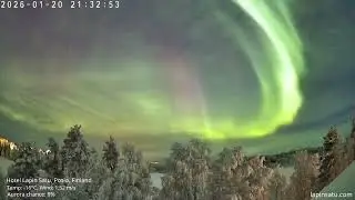 Winter Magic in Lapland ❄️ Real Arctic Experience