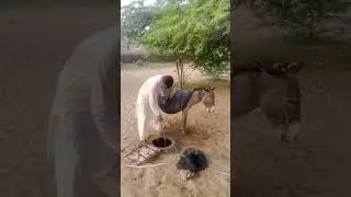 People water problem well Village life