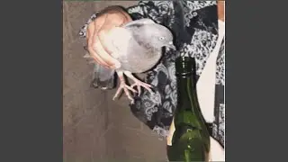 Yippie!!!