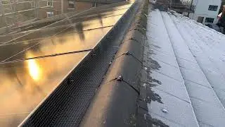 Why won&rsquo;t pigeons continue to nest once the solar panels are protected/