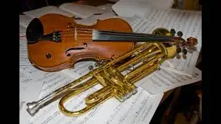 NEMA DALJE - Kolo violina i truba uzivo (Zeljko i Mikan)