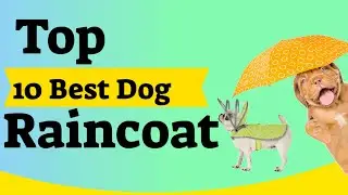 Top 10 Best Dog Raincoat 2020 Review | Dogkora