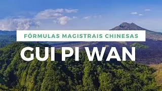 GUI PI WAN - The 
