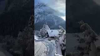 Enchanting winter landscape blanketed in pristine snow❄️ #WinterWonderland #SnowyVibes #shorts