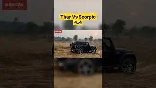 Thar vs Scorpio Tochan 4x4 | Tug of war