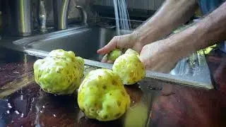 Hawaiian Noni Plant Medicine