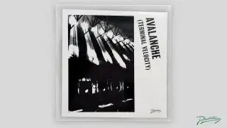 Boys Noize & Erol Alkan feat. Jarvis Cocker - Avalanche (Terminal Velocity) [PH14]