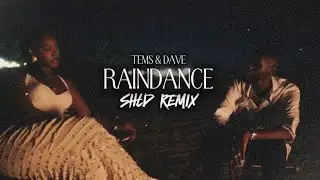 Dave & Tems - Raindance (SHLD Remix)