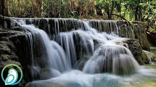 Blues music - Only One On The Lake - Audrey Smith - Calming Relaxing Music - Soothing Nature