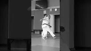 Shomenuchi kotegaeshi 正面打ち自由技 #shorts #shortsfeed #training #aikidoforfun #jiyuwaza #aikido