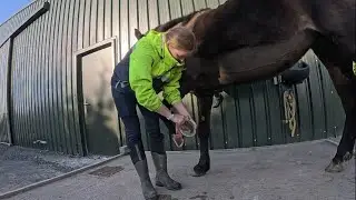 Tanya's Teachings! A chat about basic horse care including hoof picking, grooming and tacking up.