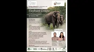 Elephant Couple(Elephant Foresters)
