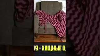SCP-799