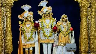 છ ધામના દેવોના આજના દિવ્ય શણગારના દર્શન તા:- ૧૭ /- ૦૧ /- ૨૦૨૬ | NItya Darshan | Daily Darshan